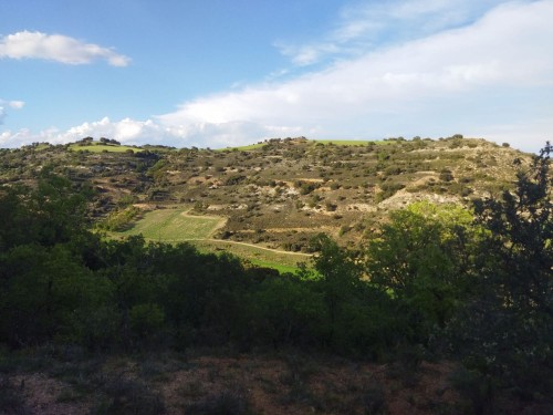 imagen de Finca de caza mayor en Ciudad Real